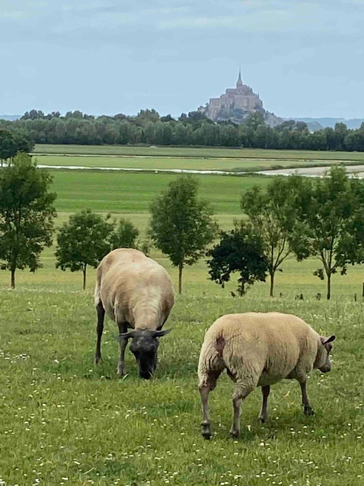 Gîtes le Mont Desclos Saint Michel Beauvoir  Chambre photo